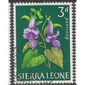 1963 SG 246 - fine used (o)