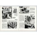 (4983) Grandma's Shop Halstead Essex Robin Huge...