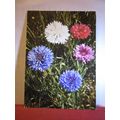CORN FLOWER flowers Swiss used vintage postcard...