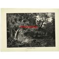 Old German Forest, Book Illustration (Print), 1888