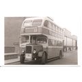 Black & White Photo of Southend Corporation Tra...