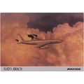 Boeing NATO AWAC Military Aircraft Postcard (AM...