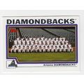 2004 Topps Arizona Diamondbacks team set with t...