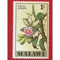 Malawi 1979 1t Vanilla Polylepis Orchid Used SG...