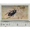 Vintage: Dutch card Jac. P. Thijsse, Lente No. ...