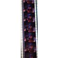 Back to the Future 2. Pk HCH - C064l . - 1 STRI...