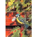 D030990 Royal Society of Birds. The Midlands Po...