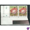South Africa 1977 - SG 418 - 5c P. cynaroides x...