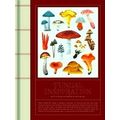 Fungal Inspiration