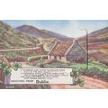 Dublin Mailing Novelty Antique Cottage Irish Fo...