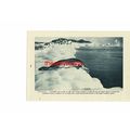 Weddell Seal, Antarctica (Barne Glacier, Revers...