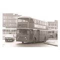 Black & White Photograph of B.& M.M.O. Co. Ltd....