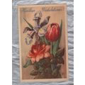 Hjartliga Gratulationer! - Sweden - Postally Us...