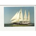 Sailing Ship NAUSIKAA Postcard by NV Walk About