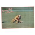 Having a ball in FLORIDA, USA postcard 1985 pos...