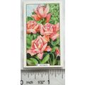 1938 Gallaher's Garden flowers No. 33 Roses