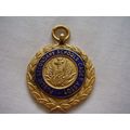 Vintage Cadet Association Blue Enamel Medal Bad...