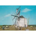 Nazare Moinho a vento Portugal Postcard unused ...