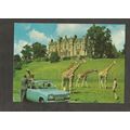 Postcard Scotland Stirling Blair Drummond Safar...