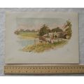 Vintage: coloured engraving - Blenheim
