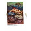 Tropical Crabs, Book Illustration (Print), c1925