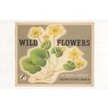 Wild Flowers Paxton Chadwick Puffin Book Postcard