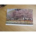 Jarrold Postcard - Blossom Time, Torquay - Devon