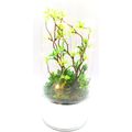 Terrarium with Faux Plants Tube LED Lights Glas...