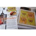 Painted Ladies Butterflies Cross Stitch Chart A...