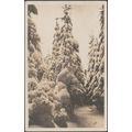 Bäume im Schnee, 1922 - Jean Gaberell Foto-AK