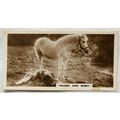 De Reszke Real Photographs card No. 12 Nurse an...