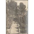 Raxa, Palma de Mallorca, c.1950 - Foto Tarjeta ...