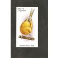Cigarette Card Players Aviary & Caged Birds 193...