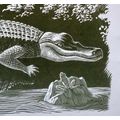 Vintage Everett Woodcut Crocodile Frog Jungle A...