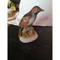 Ornamental Bird