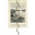 Arrow Heads Near Tewkesbury, Gloucs, England, B...