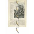 Near Eckington, Worcs, England, Book Illustrati...