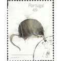 PORTUGAL, MAMMAL, Pyrenean Desman ,Galemys pyre...