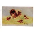 ARTIST DRAWN POSTCARD BY KIRMSE PERSIS PEKINGES...