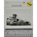 Kawasaki Ki-10 Perry - Japan - Fighter - Collec...