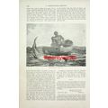 Shark Fishing, Nassau Bar, Bahamas, Book Illust...