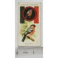 1933 Player's Boy Scout & Girl Guide Patrol Sig...