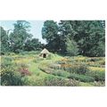 Diss, Norfolk - Bressingham Hall Gardens - Plas...