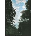 London - Christchurch Hill, Hampstead & spire (...