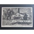 Chimpanzees Party, Whipsnade, Dunstable, Bedfor...