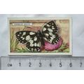 1938 Gallaher's Butterflies & Moths No. 11 Marb...