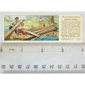 1935 Typhoo Swiss Family Robinson No. 5 Buildin...