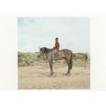 Claudio Rasano Cape Town Johannesberg Horse Pho...
