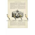 Winfield Manor House, Remains, Derbyshire, Book...