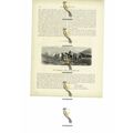 Hospitality In Iceland, Book Illustration (Prin...